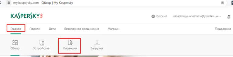 Во вкладке «Главная» нажимаем по иконке «Лицензии»