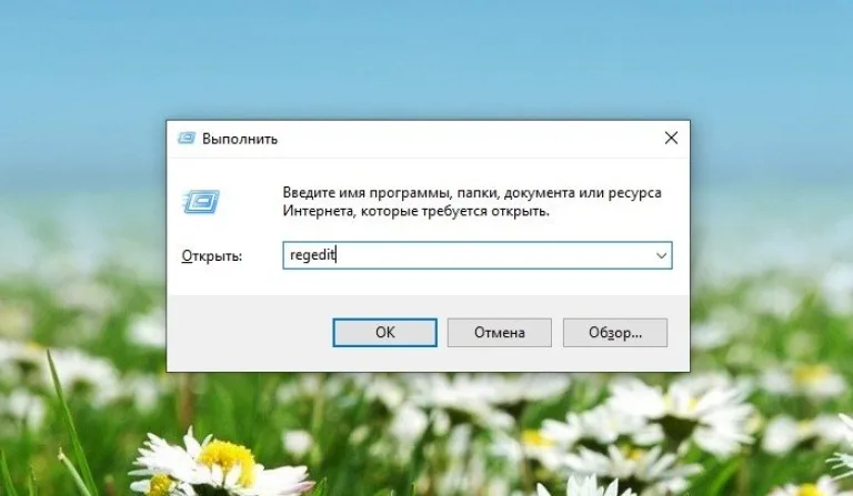 Вводим команду и нажимаем «ОК»