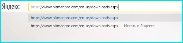 Копируем URL-адрес, вставляем в адресную строку, нажимаем «Enter»