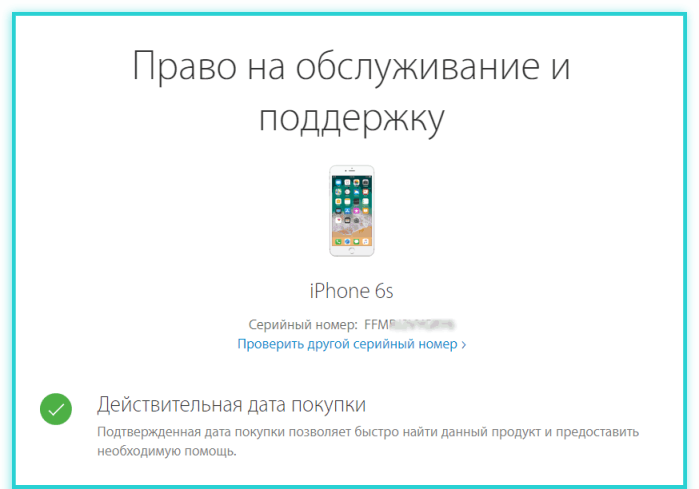 Результат проверки оригинального Айфона
