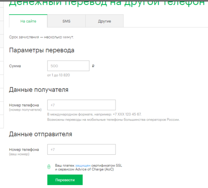 Заполняем данные, нажимаем «Перевести»