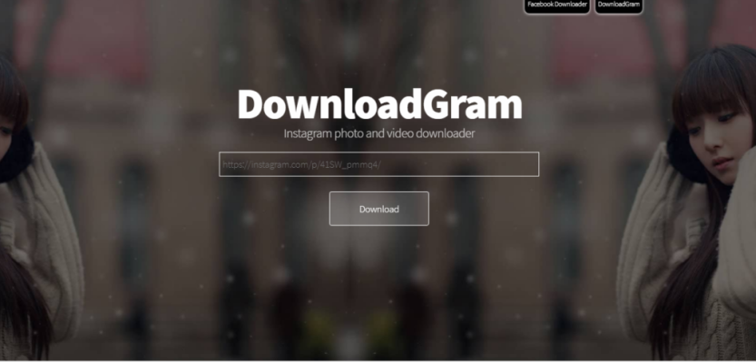 Главная страница сервиса DownloadGram