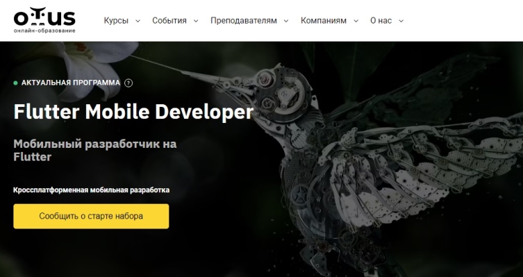 Flutter Mobile Developer