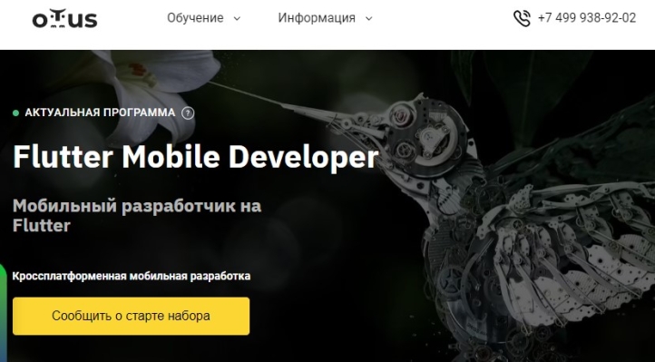 Flutter Mobile Developer