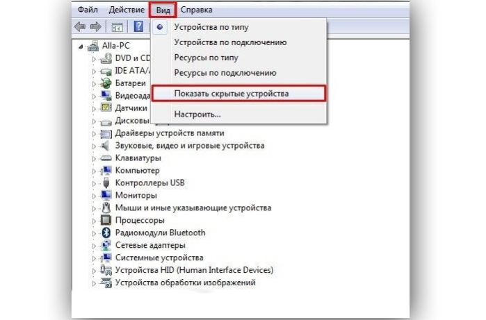 В вкладке «Вид» устанавливаем значение «Показывать скрытые устройства»