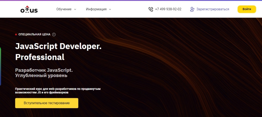 JavaScript Developer. Professional