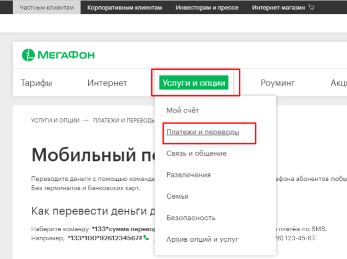Открываем раздел «Услуги и опции», а затем подраздел «Платежи и переводы»