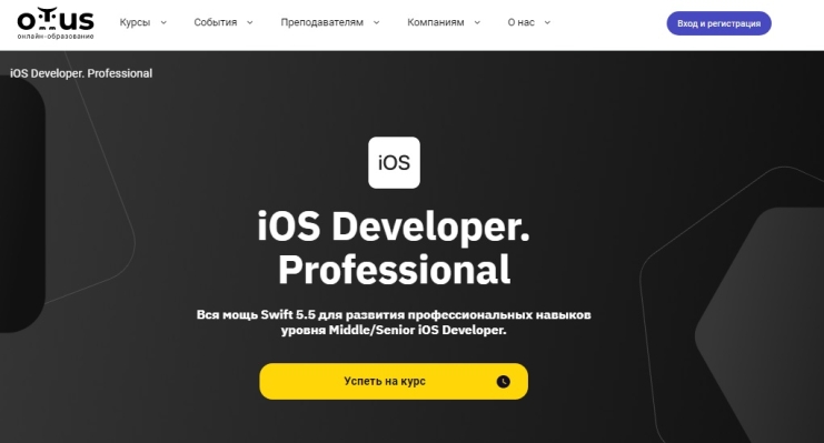 iOS Developer. Professional