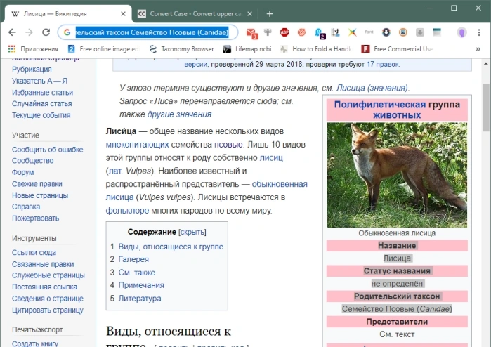 Нажимаем «Ctrl+A» и «Ctrl+С»