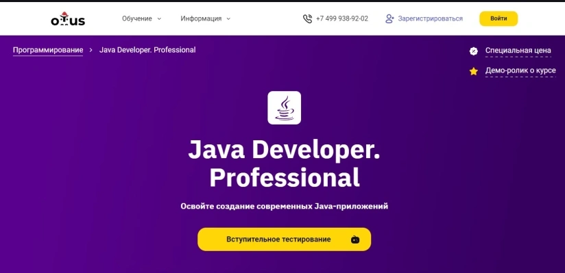 Java Developer. Professional