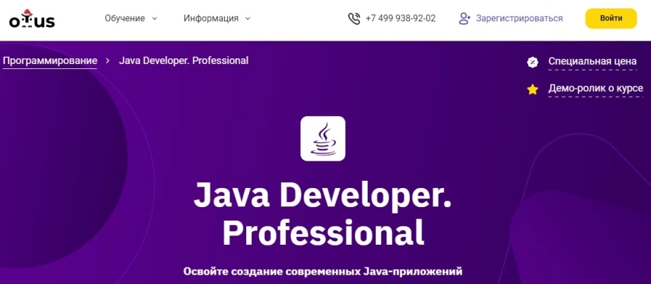 Java Developer. Professional