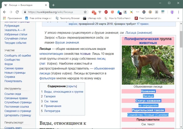 Выделяем необходимую информацию, зажав и протянув левую кнопку мыши, нажимаем «Ctrl+C»