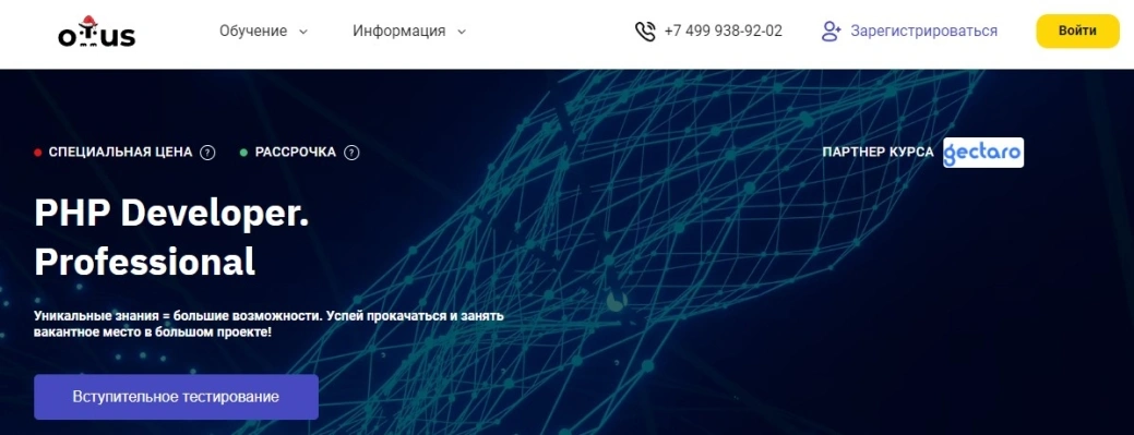 PHP Developer. Professional