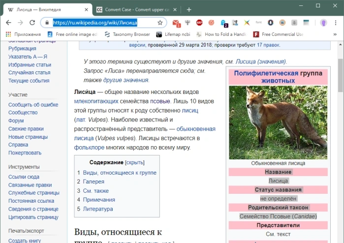 Помещаем курсор в адресную строку браузера и удаляем адрес с помощью кнопок «Backspace» или «Del», нажимаем «Ctrl+V»