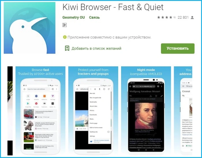 Kiwi