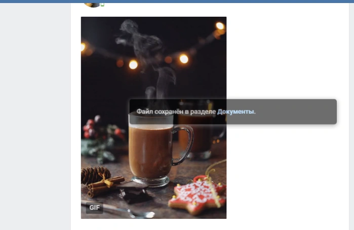 Gif файл сохранился в раздел &laquo;Документы&raquo;