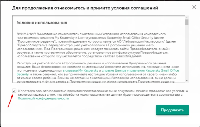 Отмечаем пункт о принятии условий соглашения, нажимаем «Продолжить»