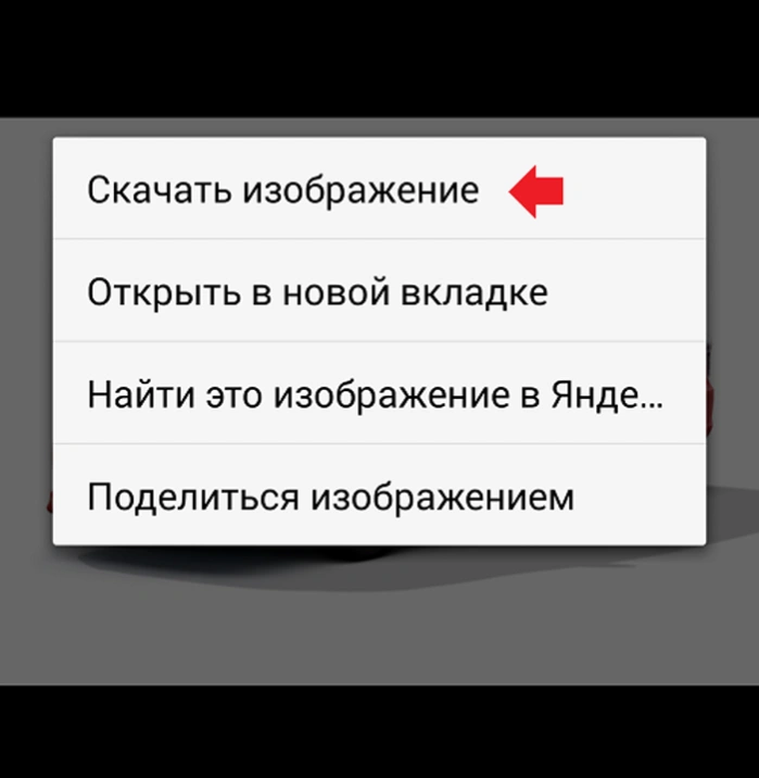 Нажимаем &laquo;Скачать изображение&raquo;