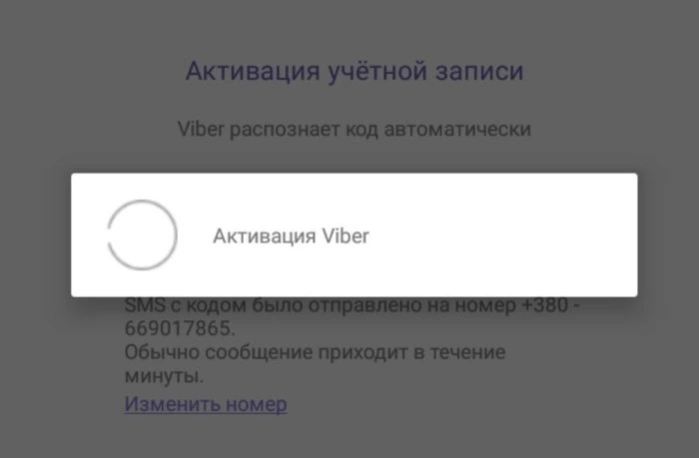 Вписываем код из смс и ждем активации приложения