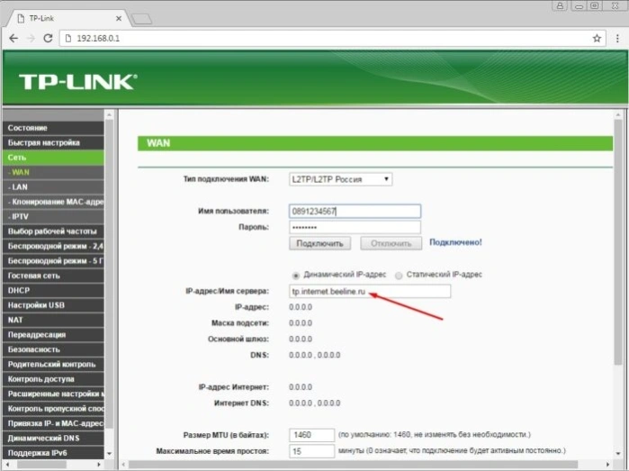 Прописываем имя хоста tp.internet.beeline.ru