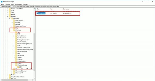 Нажимаем «HKEY_LOCAL_MACHINE», открываем программное обеспечение, затем переходим к «AU»