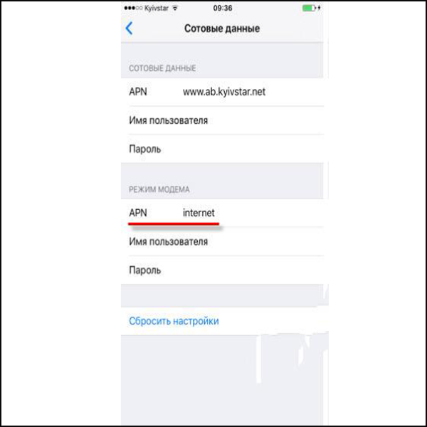 В поле APN вводим слово «internet»