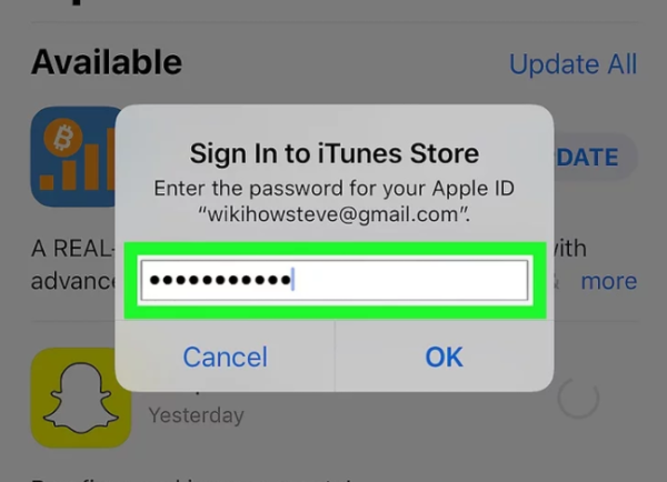 Вводим пароль Apple ID