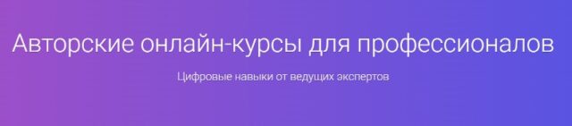 Agile Project Manager