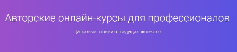 Agile Project Manager
