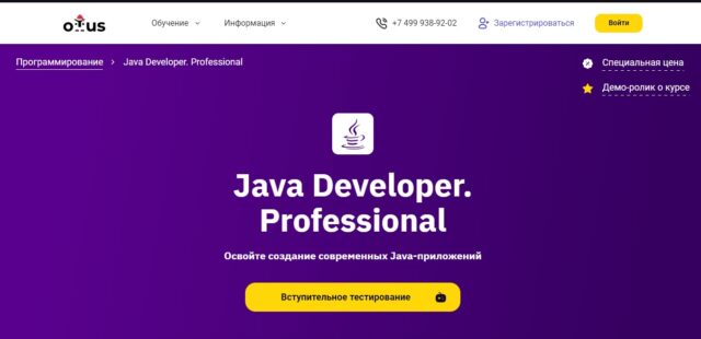 Java Developer. Professional от Otus