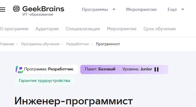 Инженер-программист
