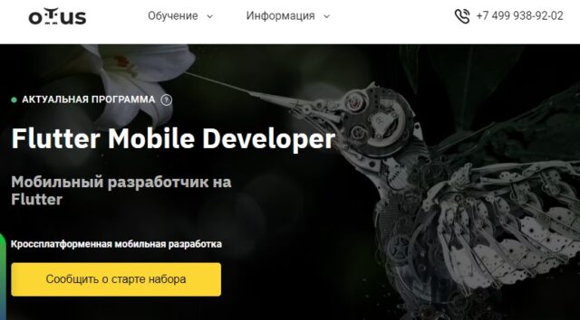 Мобильный разработчик на Flutter, OTUS